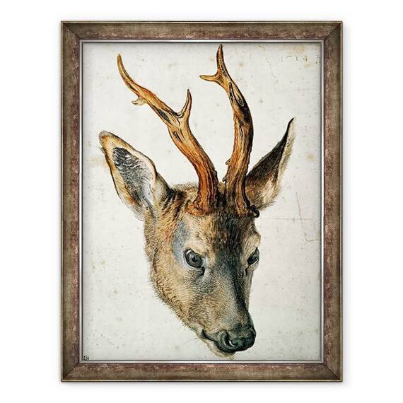 Tablou inramat - Albrecht Durer - Capul unui cerb de caprioara - - Roveli