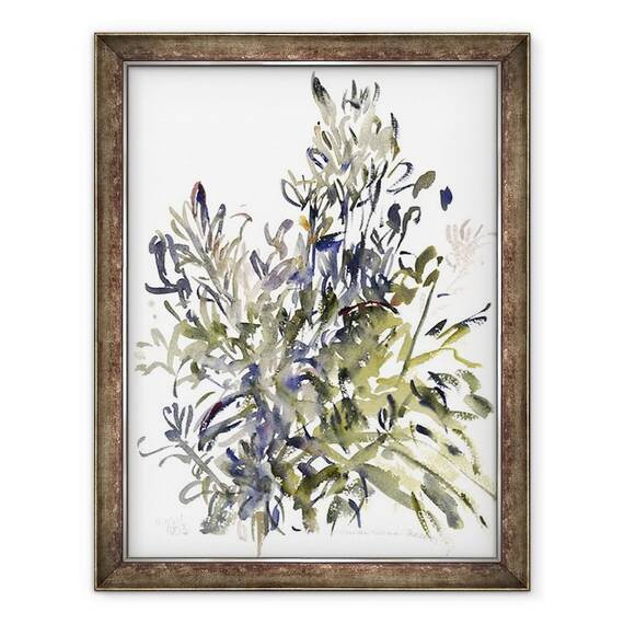 Tablou inramat - Claudia Hutchins-Puechavy - Senecio si alte plante - - Roveli