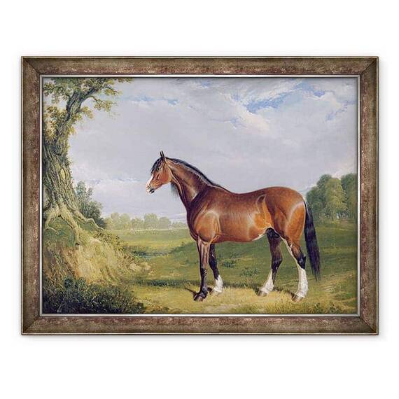 Tablou inramat - John Frederick Herring Snr - Un armasar din Clydesdale - - Roveli