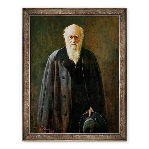 Tablou inramat - John Collier - Portretul lui Charles Darwin 1809-1882 1883 - - Roveli