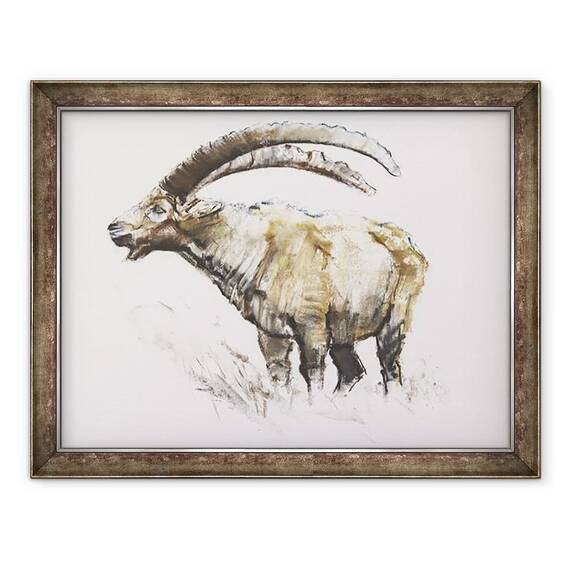 Tablou inramat - Mark Adlington - Ibex - - Roveli