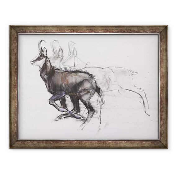 Tablou inramat - Mark Adlington - Rularea Chamois - - Roveli