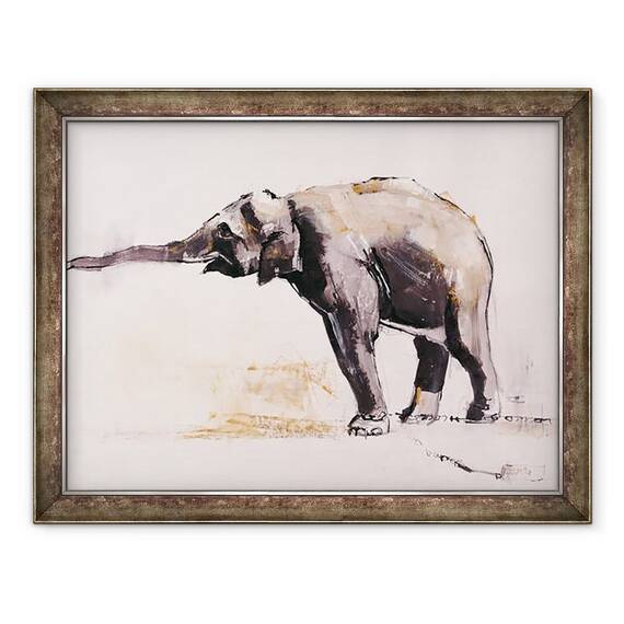 Tablou inramat - Mark Adlington - Elefant indian - - Roveli