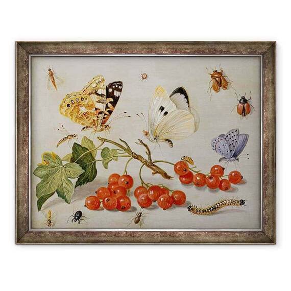Tablou inramat - Jan van Kessel the Elder - O viata statica cu crenguta de coacaze rosii, fluturi, gandaci - - Roveli