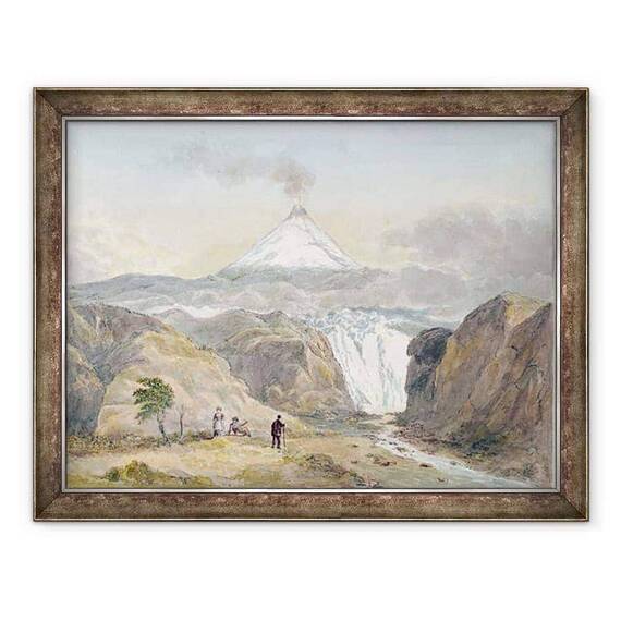 Tablou inramat - Charles Hamilton Smith - Vezi - - Roveli