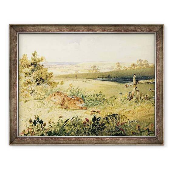 Tablou inramat - Newton Fielding - Iepurele intr-un peisaj - - Roveli