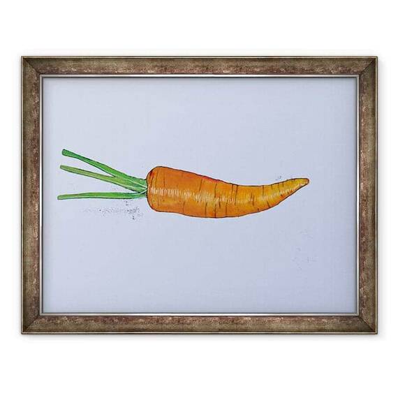Tablou inramat - Sarah Thompson-Engels - Carrot 2005 - - Roveli