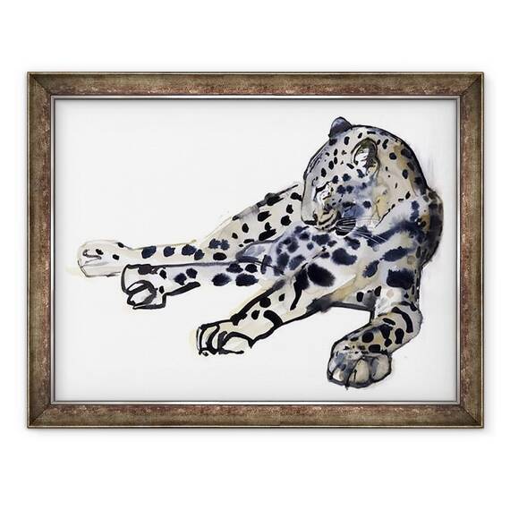 Tablou inramat - Mark Adlington - Recumbent Leopard arab - - Roveli