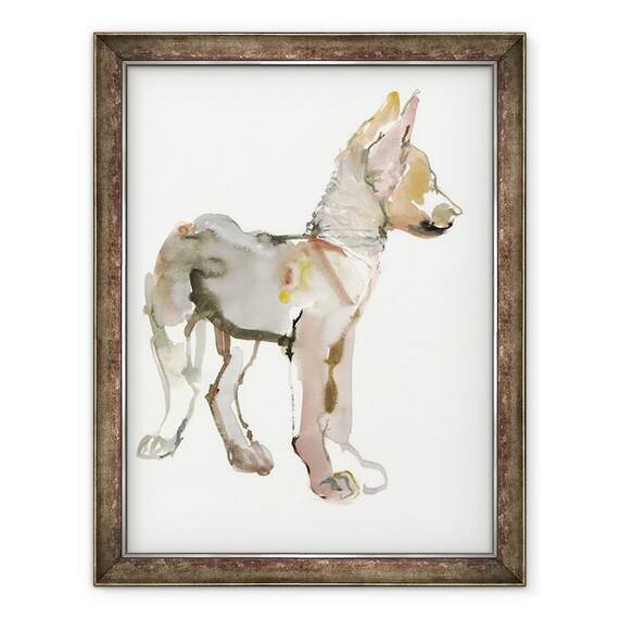 Tablou inramat - Mark Adlington - Waggle Arabian Wolf Pup, 2011 - - Roveli