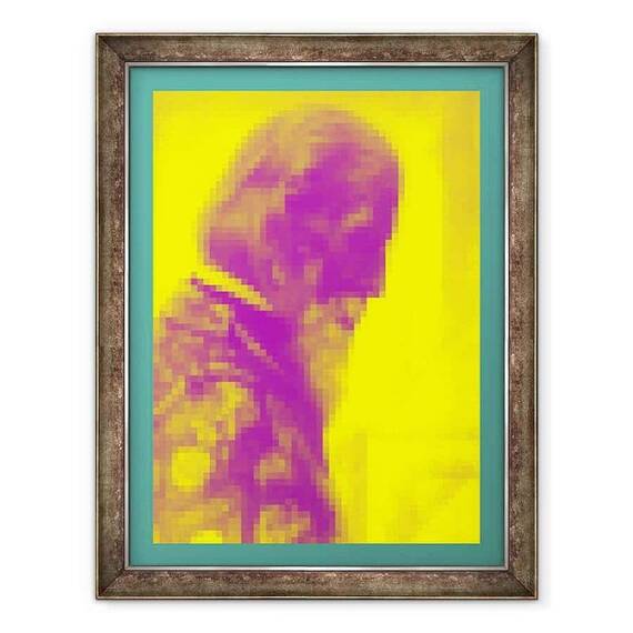 Tablou inramat - Peter McClure - Z... ARHI-PREOTE.2013 - - Roveli
