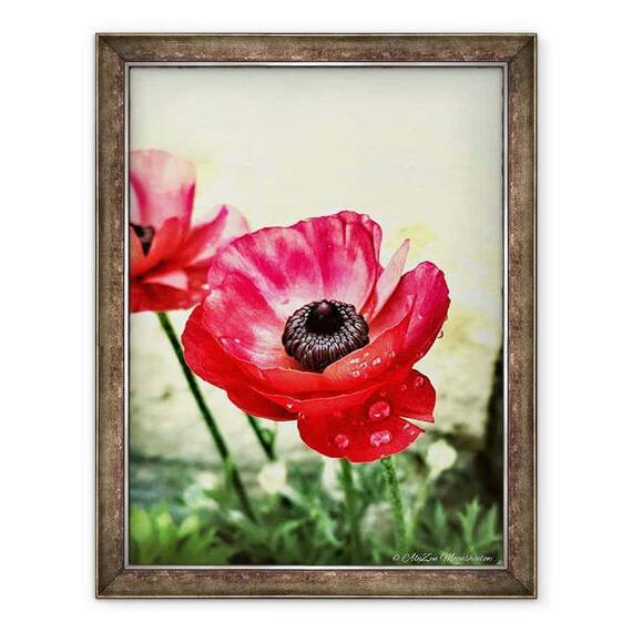 Tablou inramat - AlyZen Moonshadow - Anemone Rosii, 2013 - - Roveli