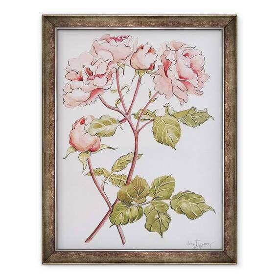 Tablou inramat - Joan Thewsey - Trandafiri, Abraham Darby, 2012 - - Roveli