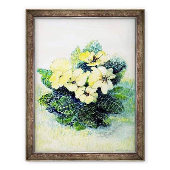 Tablou inramat - Joan Thewsey - Primula I - - Roveli