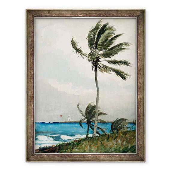Tablou inramat - Winslow Homer - Palmier, Nassau - - Roveli