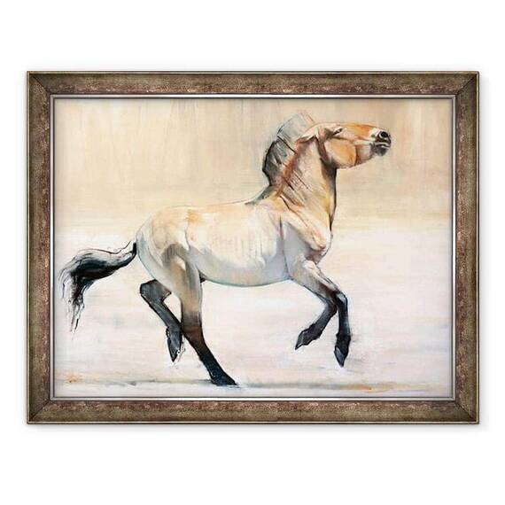 Tablou inramat - Mark Adlington - Equus Przewalski, 2014 - - Roveli