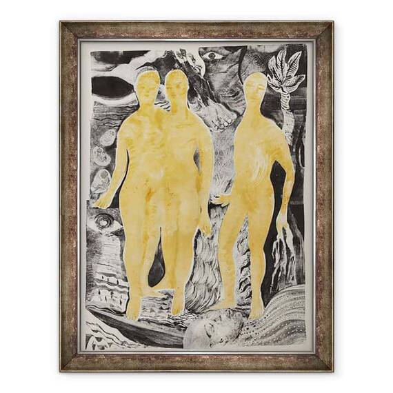Tablou inramat - Mary Kuper - Peisajul corpului - - Roveli