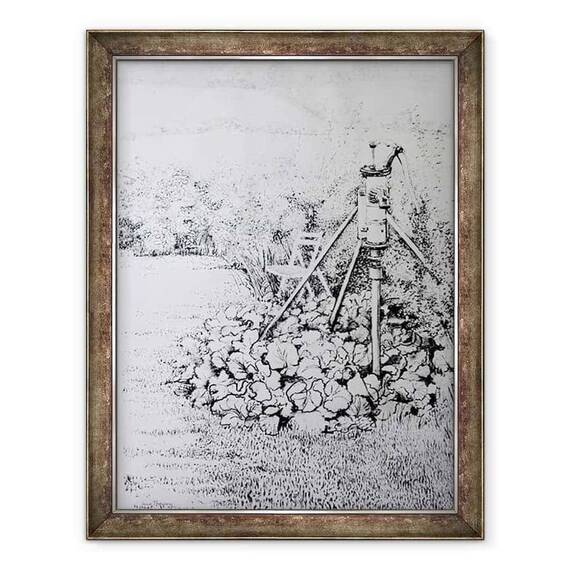 Tablou inramat - Joan Thewsey - Pompa de Gradina, 1973 - - Roveli