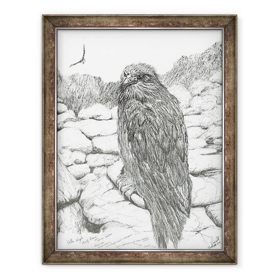 Tablou inramat - Vincent Alexander Booth - Eagles of the Highlands, 2011 - - Roveli