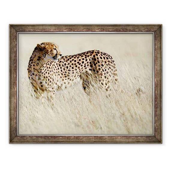 Tablou inramat - Eric Meyer - Cheetah, Etosha, 2017 - - Roveli