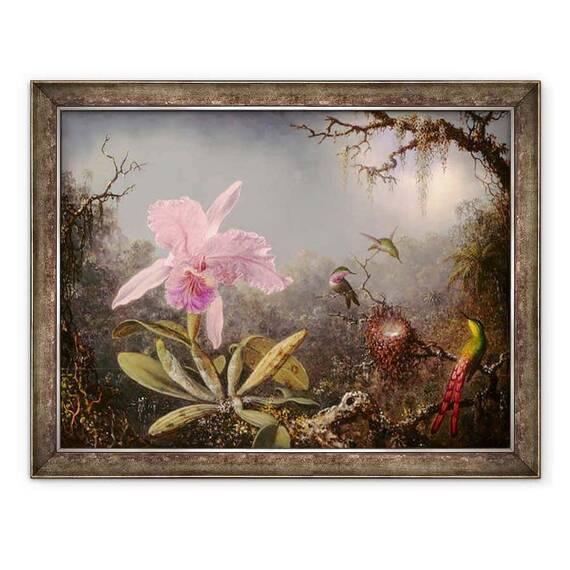 Tablou inramat - Martin Johnson Heade - Cattleya Orhidee si Trei Colibri - - Roveli