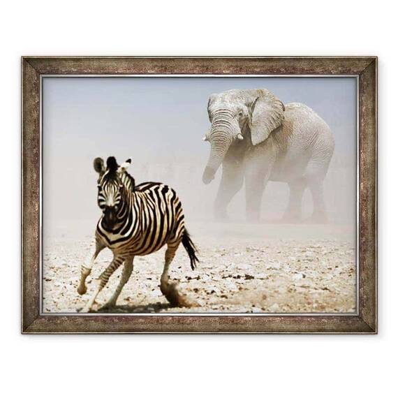 Tablou inramat - Eric Meyer - Elefant si Zebra, Etosha, 2018 - - Roveli
