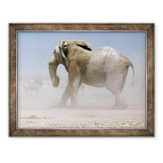 Tablou inramat - Eric Meyer - Bull Elephant, Etosha, 2018 - - Roveli