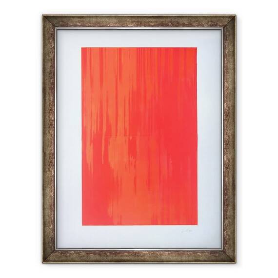 Tablou inramat - Guilherme Pontes - Culori Nº2 - - Roveli