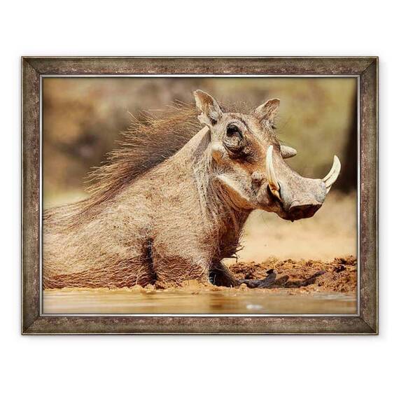 Tablou inramat - Eric Meyer - Warthog, Muntele Etjo Namibia - - Roveli