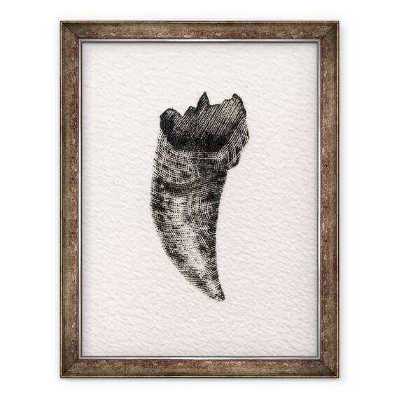 Tablou inramat - Bella Larsson - Dinte feline, 2014 - - Roveli