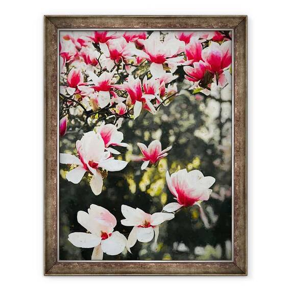Tablou inramat - Helen White - Magnolia inflorita, 2018 - - Roveli
