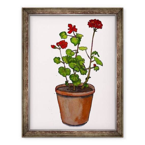 Tablou inramat - Sarah Thompson-Engels - Geraniums in ghiveci de flori,2019 - - Roveli