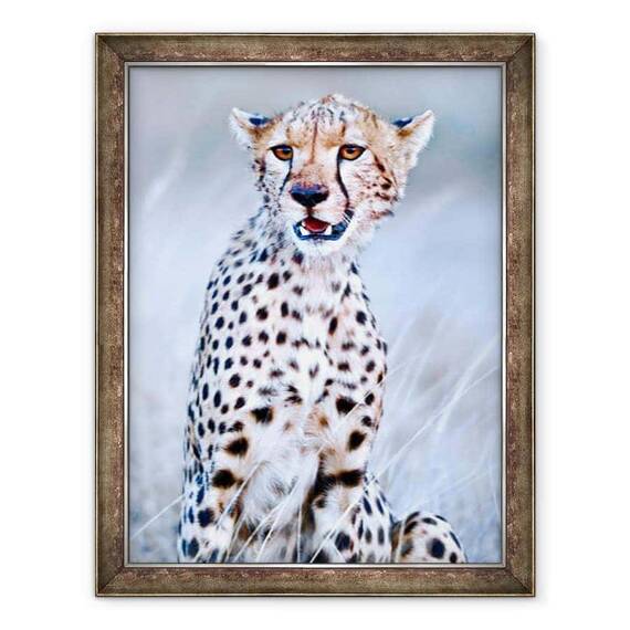 Tablou inramat - Eric Meyer - Tanar ghepard, 2019 - - Roveli