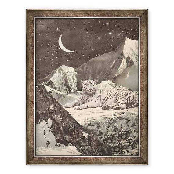 Tablou inramat - Florent Bodart - Tigru alb gigant in munti - - Roveli
