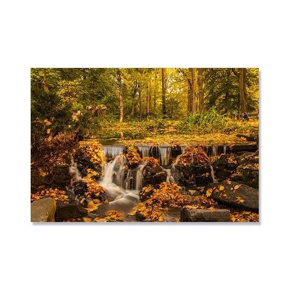 Tablou Canvas -  Toamna, Cascada, Maro, Padure, Copaci - - Roveli