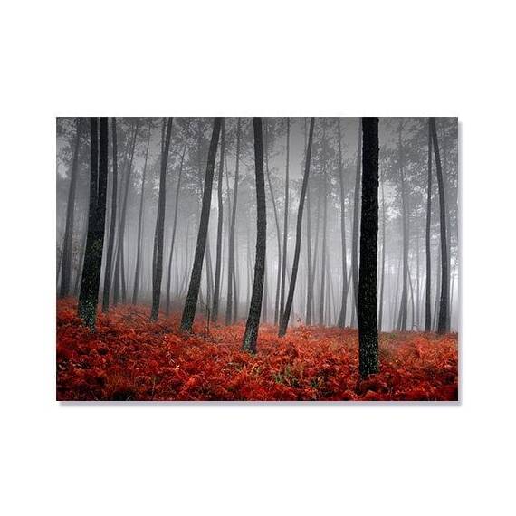 Tablou Canvas - Peisaj de toamna, Frunze, Copaci, Padure - - Roveli