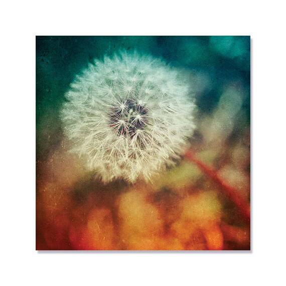 Tablou Canvas - Dandelion I, Floare, Alb, Maro - - Roveli
