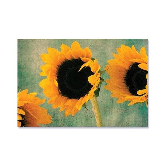 Tablou Canvas - Floarea soarelui II, Galben, Retro - - Roveli