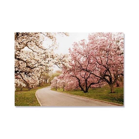 Tablou Canvas - Magnolie dulce, Flori, Copaci, Carare - - Roveli