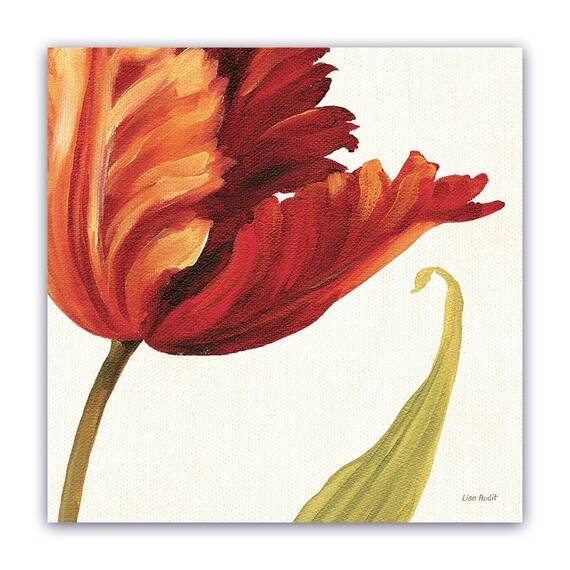 Tablou Canvas - Flori, Lalea, Marime: 60 x 60 cm - - Roveli
