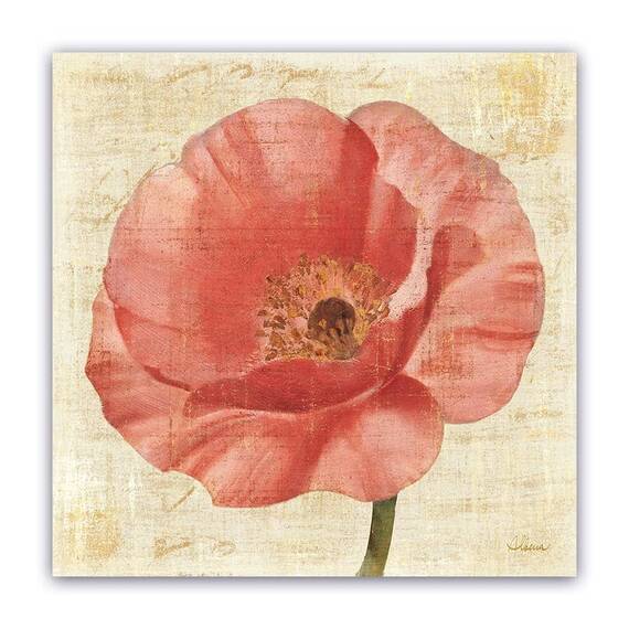 Tablou Canvas - Floral, Lalea, Roz, Marime: 60 x 60 cm - - Roveli