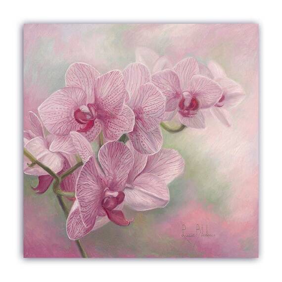 Tablou Canvas - Vintage, Orhidee, Floral, Roz, Marime: 60 x 60 cm - - Roveli