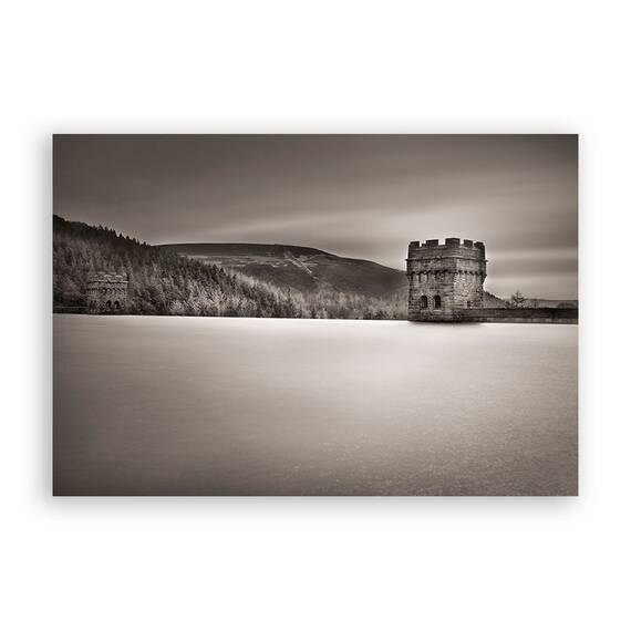 Tablou Canvas - Padure, Monochrom, Bastion, Marime: 80 x 120 cm - - Roveli