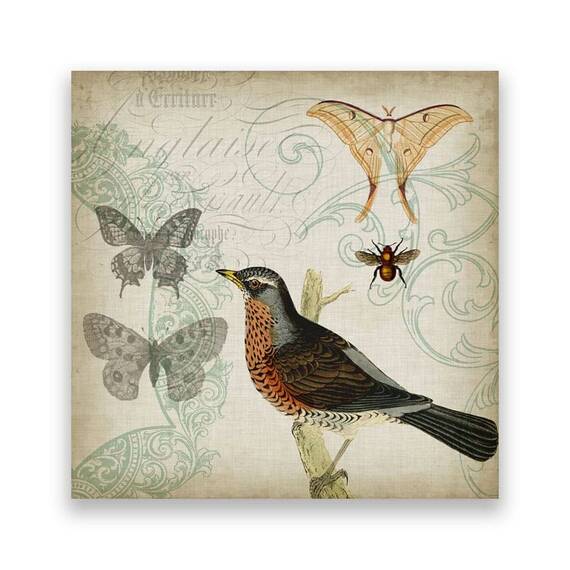 Tablou Canvas - Vintage II, Pasari, Fluturi, Marime: 60 x 60 cm - - Roveli