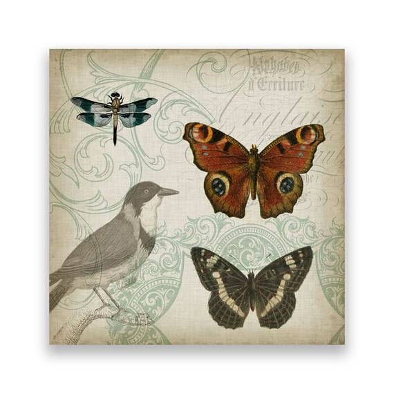 Tablou Canvas - Vintage, Pasari, Fluture, Libelula - - Roveli