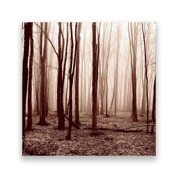 Tablou Canvas - Padure, Uscat, Frunze, Monochrom, Marime: 60 x 60 cm - - Roveli