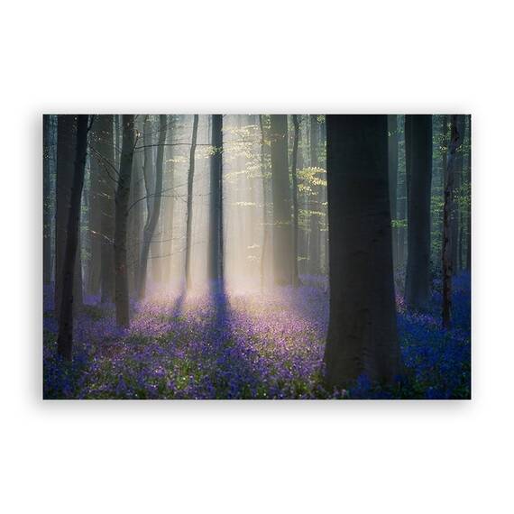 Tablou Canvas - Padure, Flori, Natura, Peisaj, Primavara - - Roveli
