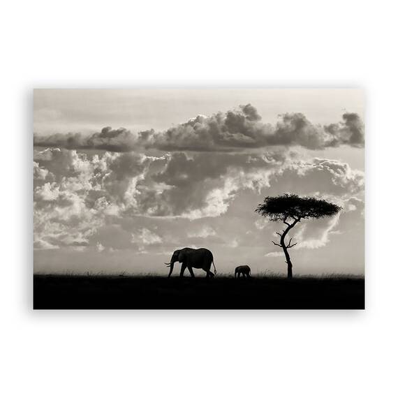 Tablou Canvas - Elefant I, Africa, Natura, Peisaj, Animal, Marime: 80 x 120 cm - - Roveli