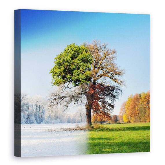 Tablou Canvas - Anotimpuri - - Roveli