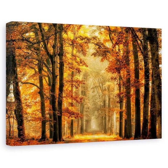 Tablou Canvas - Iesiti Din Portal - - Roveli