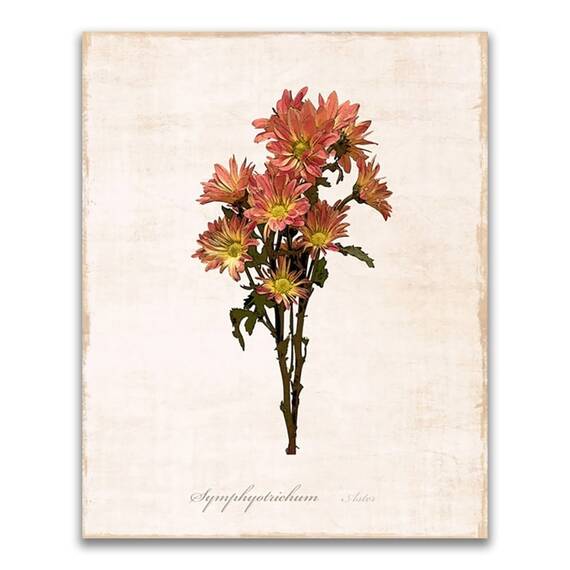 Tablou Canvas - Flori, Floare, Crizanteme, Primavara, Portocaliu, Marime: 60 x 75 cm - - Roveli